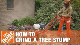 How To Grind A Tree Stump  The Home Depot [upl. by Anneirda]