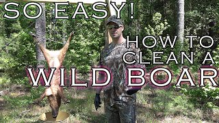 Wild Game Processing  BEST WAY TO SKIN A WILD BOAR How to Quarter a Wild Boar  Hog  Pig [upl. by Fante750]