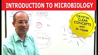 Introduction to Microbiology [upl. by Ojillib215]