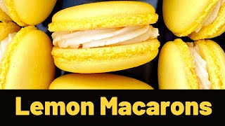 Lemon Macarons  Lemon Zest Buttercream Filling  French Method  Easy Beginner Macaron Recipe [upl. by Chrystel]