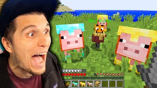 Was passiert wenn Minecraft Schweine plötzlich eine DiamantRüstung tragen [upl. by Legnalos922]