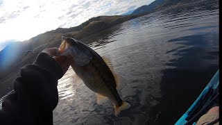 Lake Kaweah Spotted Bass [upl. by Otrebile]