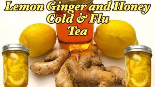 Honey Lemon Ginger Tea Recipe ALL NATURAL COLD amp FLU REMEDY MADE AT HOME [upl. by Alle]