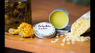 How to Make a Calendula Salve [upl. by Fulvia417]