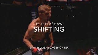 TJ Dillashaw Footwork Shifting [upl. by Ynohtnacram]