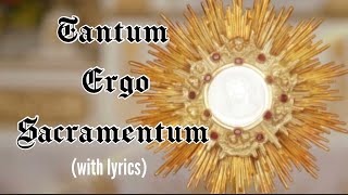 Tantum ergo Sacramentum lyrics Holy Hour HymnEucharistic Adoration Chant Catholic [upl. by Ireva]