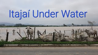 Santa CatarinaItajaí Under Water [upl. by Schnorr]