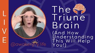 The Triune Brain [upl. by Douty]