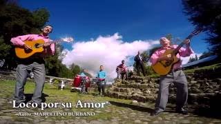 LOCO POR SU AMOR TRIO SIN FRONTERAS MUSICA CAMPESINA [upl. by Mutat]