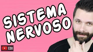 SISTEMA NERVOSO  FISIOLOGIA  Aula  Biologia com Samuel Cunha [upl. by Aikat875]