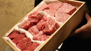 Japanese Wagyu amp Horumon Yakiniku Restaurant Experience [upl. by Ellingston]