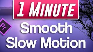 Premiere Pro  Smooth Slow Motion Tutorial With 30fps footage [upl. by Yniffit986]