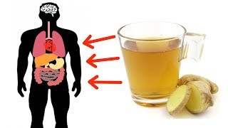 7 Reasons Why You Should Drink Lemon Ginger Tea  Lemon Ginger Tea Benefits [upl. by Ecinaj]