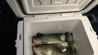 Lake Berryessa Winter CRAPPIE Fishing BIG SHTICKS [upl. by Nylzzaj]