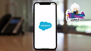 Salesforce Mobile App Demo [upl. by Semadar962]