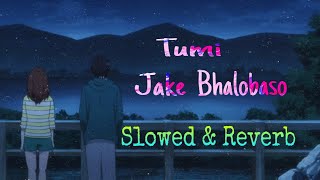 Tumi Jake Bhalobasho  Slowed and Reverb  Praktan  Iman  Anupam [upl. by Ettelracs]