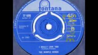 The Wimple Winch  I Really Love You [upl. by Mintun]