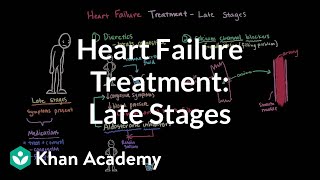 Heart Failure  Pharmacology ACE ARBs Beta Blockers Digoxin Diuretics [upl. by Louise]