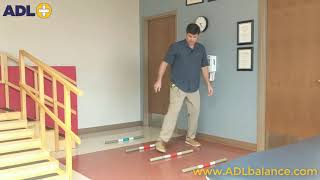 Gait Frames Dynamic Balance Exercise [upl. by Cathey824]