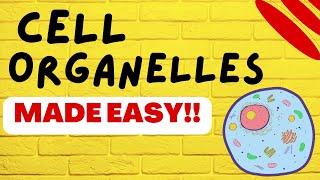 Cell Biology Cell Organelles explained in 5 minutes [upl. by Lila234]