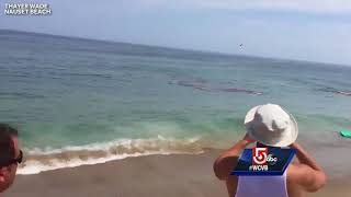 Video shows shark attack feet away from Cape Cod surfers [upl. by Susan]