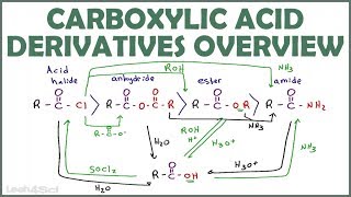 Carboxylic Acid Derivatives Overview and Reaction Map [upl. by Jansen436]