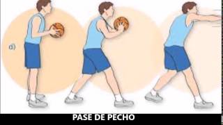 FUNDAMENTOS DEL BALONCESTO [upl. by Purvis284]