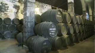 Sherry Wine of Andalucía [upl. by Ker]