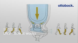 Dynamic Vacuum System DVS – How it works  Ottobock [upl. by Ruomyes956]