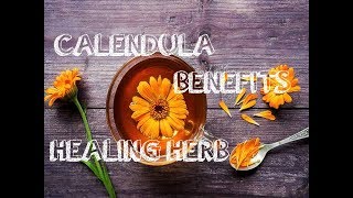 9 Amazing Health Benefits of Calendula [upl. by Lareena]