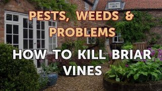 How to Kill Briar Vines [upl. by Peltier]