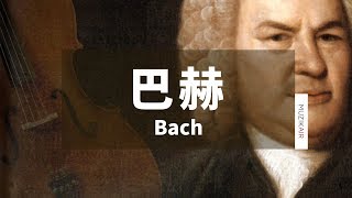 MUZIK精選巴赫與大提琴古典音樂｜The Best Cello Selection of JS Bach [upl. by Adlin]