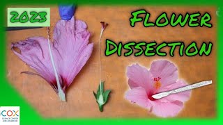 FLOWER DISSECTION Reproduction in Flowering Plants Virtual Lab  Virtual Science Shorts [upl. by Cleave]