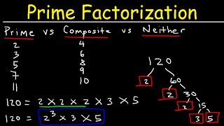 Prime Factorization Explained [upl. by Vinita]