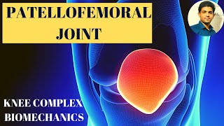 PATELLOFEMORAL JOINT PATELLA ANATOMY amp BIOMECHANICS [upl. by Schear]