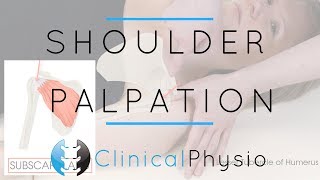 Shoulder Palpation  Clinical Physio Premium [upl. by Adnarrim122]