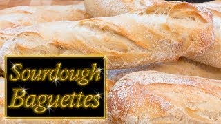 Sourdough Baguettes easy step by step [upl. by Atsirt]