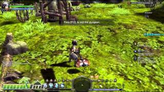 Vibrant Heraldry FARMING GUIDE Dragon Nest SEA [upl. by Messab]