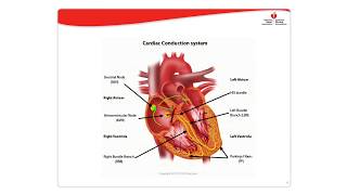 Dysrhythmia Management [upl. by Anrak977]