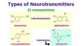 Neurotransmitters Type Structure and Function [upl. by Assirem]