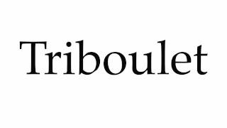 How to Pronounce Triboulet [upl. by Nelyag415]