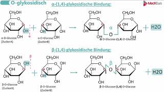 Glykosidische Bindungen [upl. by Ahlgren]