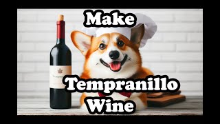 Recipe Make Tempranillo Wine [upl. by Wandie]