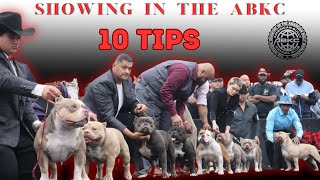 ABKC SHOW TIPS  AMERICANBULLY  DOG [upl. by Weide953]