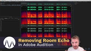 How to Remove Room Echo in Adobe Audition [upl. by Timothee]