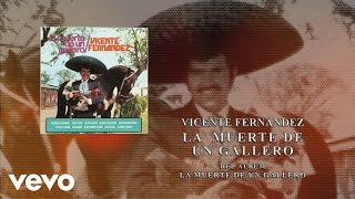 Vicente Fernández  La Muerte de un Gallero Cover Audio [upl. by Entroc]