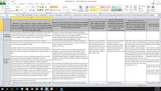 How to Create a Literature Matrix Excel [upl. by Marala310]