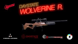 15 Years with the Daystate Wolverine R [upl. by Immaj]