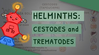 Helminths Cestodes and Trematodes transmission clinical importance and treatment [upl. by Ahsitak]