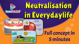 Class 7 Acids Bases and Salts  Neutralisation in everyday life  LearnFatafat [upl. by Hollerman570]